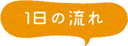 1日の流れ